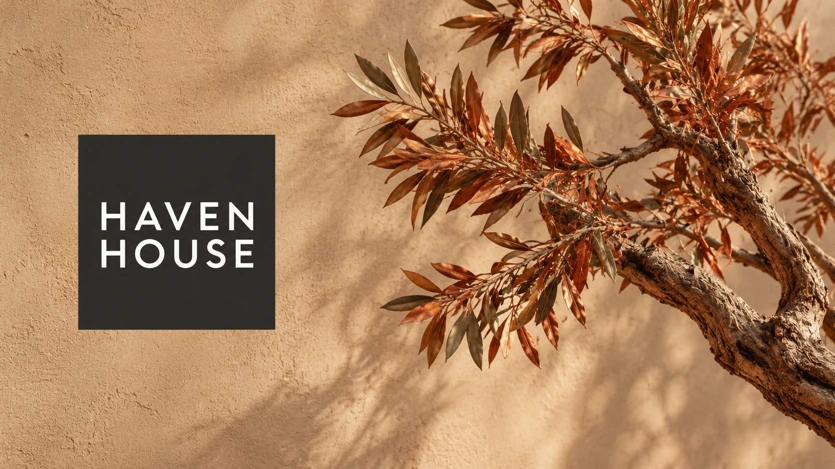 HAVEN HOUSE — 住宿品牌與網站